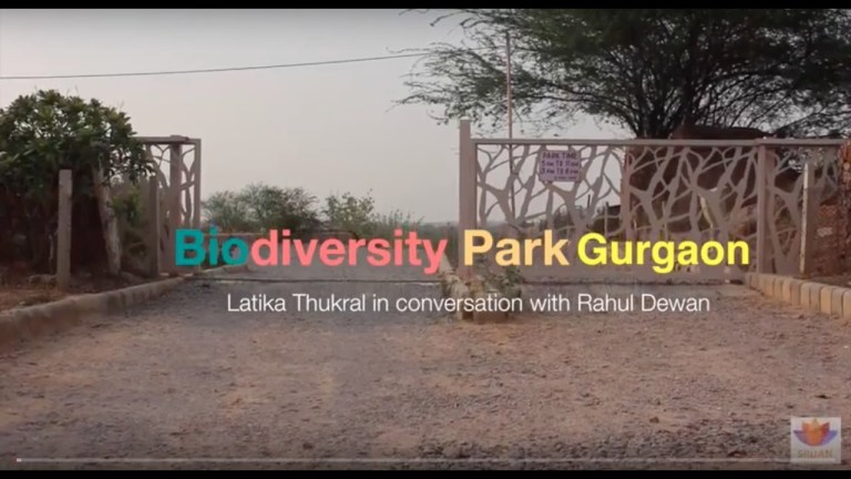 Read more about the article Aravalli Biodiversity Park Gurgaon – Latika Thukral in Conversation with Rahul Dewan