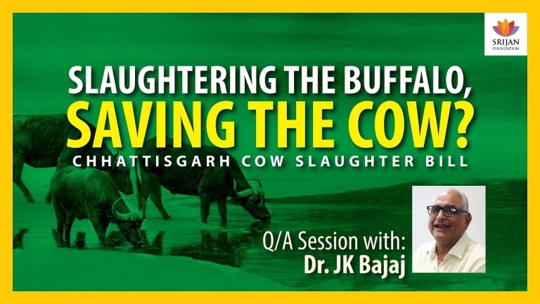 Read more about the article [Q/A] Should India Slaughter 1,00,000 Buffaloes Every Day for Export? — A Talk By J K Bajaj