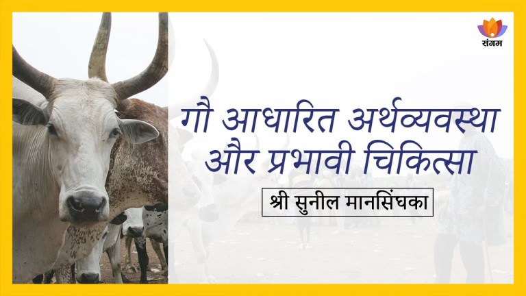 Read more about the article गौ आधारित अर्थव्यवस्था और प्रभावी चिकित्सा – सुनिल मानसिंघका का व्याख्यान