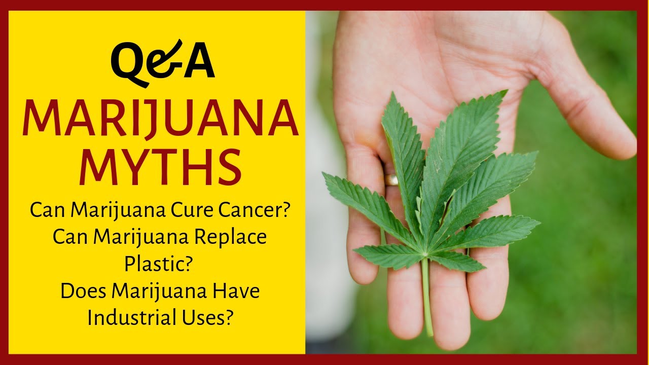 Q&A Marijuana Myths | Abhitosh Tripathi